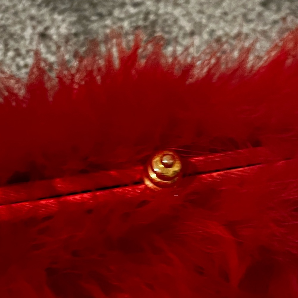 Fun Red Feather Clutch